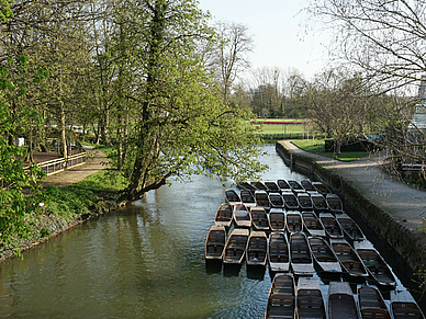 Punting in Oxford - Sprachreisen für Erwachsene