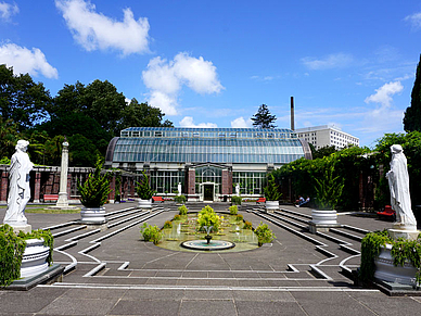 Domain Wintergardens - Englisch Sprachreise Auckland