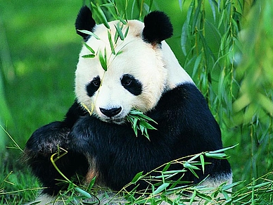 Chinesisch beim Lehrer lernen