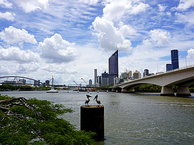 Englisch Sprachreise beim Lehrer in Brisbane, Australien 