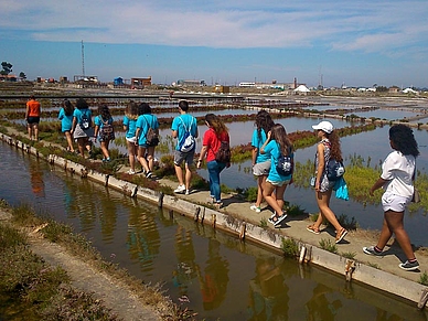 Teilnehmer der Sprachschule Porto beim Besuch in Aveiro