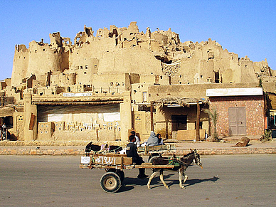 Siwa Oase Ägypten, Arabisch Sprachreisen für Erwachsene