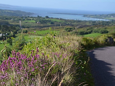 Blick über die Umgebung von Schull, Englisch Sprachreisen für Erwachsene