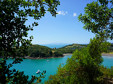 Waiheke Island bei Auckland - Sprachreisen nach Neuseeland