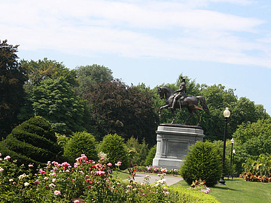 Boston Common, Englisch Sprachreisen für Erwachsene