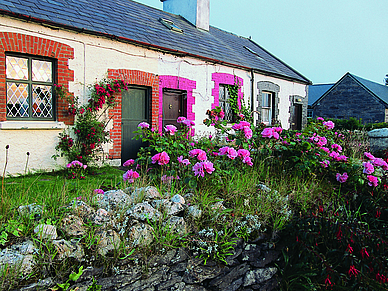 Landidyll in Irland, Englisch Sprachreisen für Erwachsene