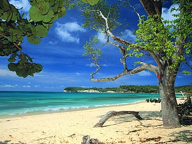 Traumhafter Strand auf Guadeloupe, Französisch Sprachreisen für Erwachsene