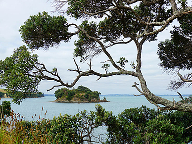 Unterwegs auf Waiheke Island - Englisch Sprachreisen nach Auckland