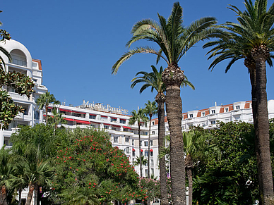 Grandeur von Cannes, Französisch Sprachferien für Schüler 