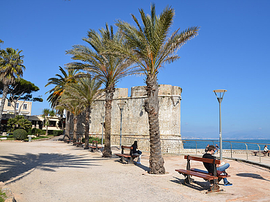 Palmen in Antibes, Französisch Sprachreisen für Erwachsene