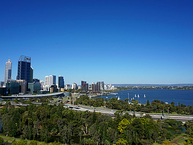 Blick vom Kings Park - Englisch Sprachreisen nach Perth