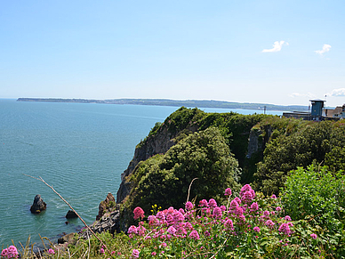 Klippen von Torquay, Englisch Sprachreisen für Erwachsene