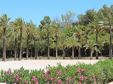 Promenade in Valencia, Spanisch Sprachreisen für Schüler