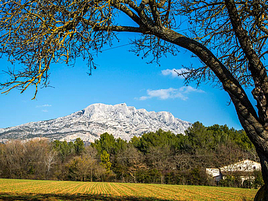 Landschaft bei Aix-en-Provence, Französisch Sprachreisen für Erwachsene