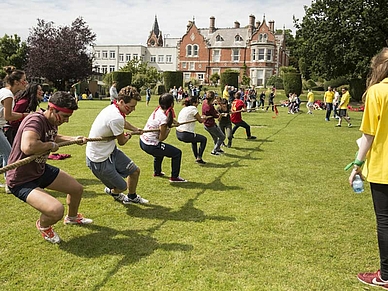 Tauziehen in Teams, Englisch Sprachschule in Dublin