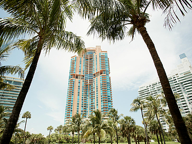 Lernen unter Palmen in Miami, Englisch Sprachreisen für Erwachsene