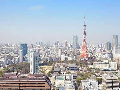 Blick über Tokio, Japanisch Sprachreisen für Erwachsene