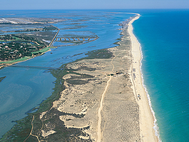 Ria Formosa Naturschutzgebiet, Portugiesisch Sprachreisen für Erwachsene Portugal