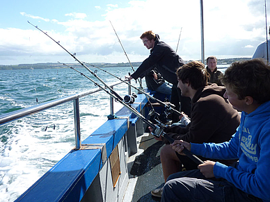 Angeln in Torquay, Business Englisch Sprachreisen England