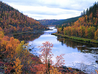 Finnisch Sprachreisen nach Finnland