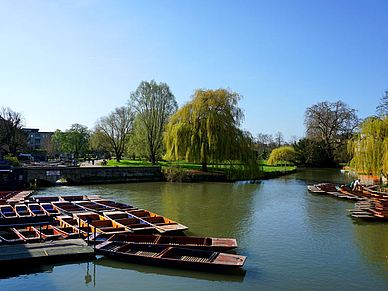 Stocherkähne in Cambridge - Englisch Sprachreise England