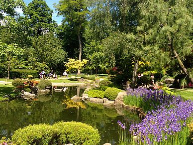 Entspannung im Holland Park, Business Englisch Sprachreisen London Premium