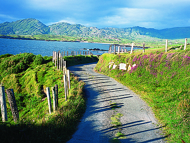 Wandern in Irland, Englisch Sprachreisen für Erwachsene